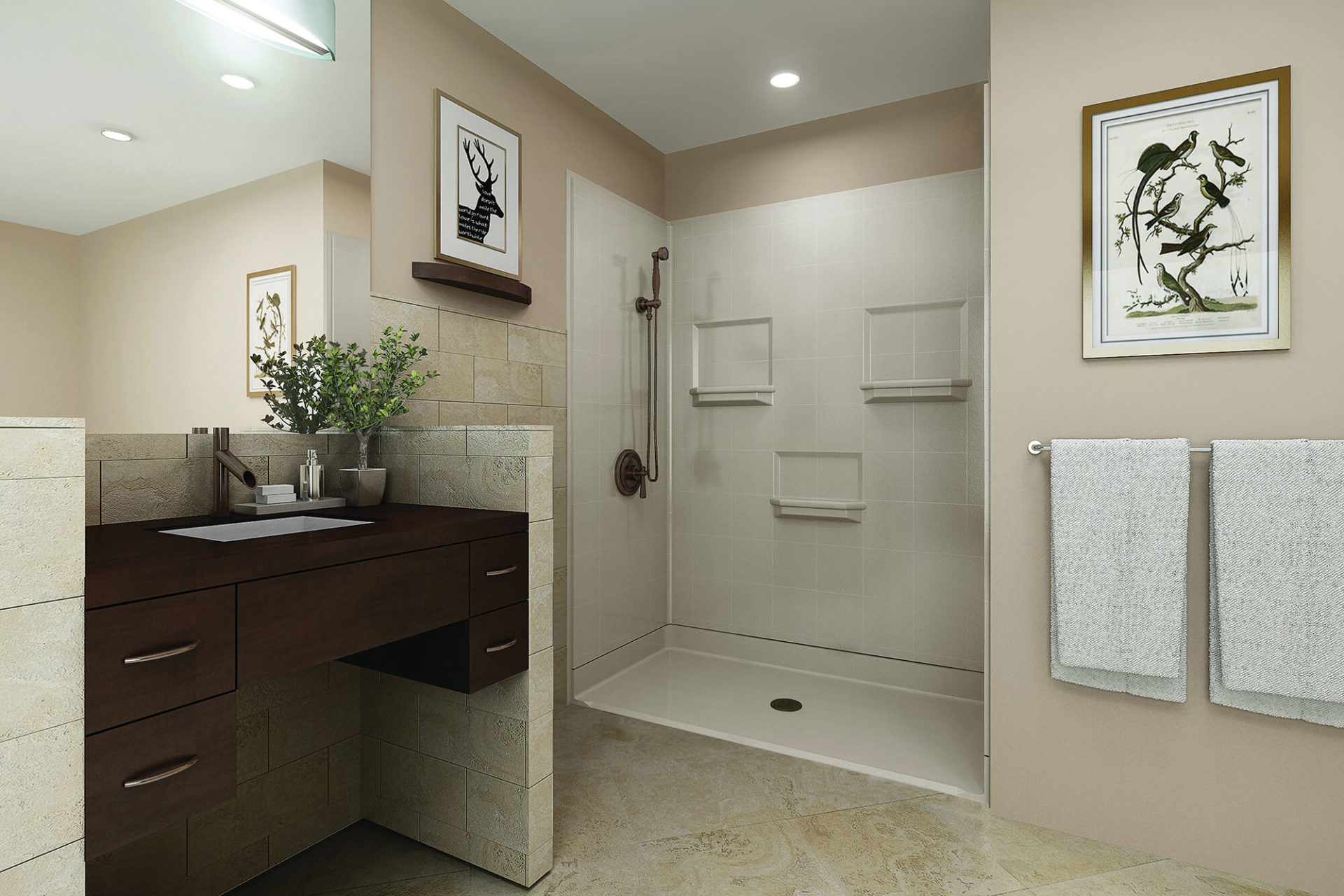 Accessible Universal Design and Aging in Place Bathrooms
